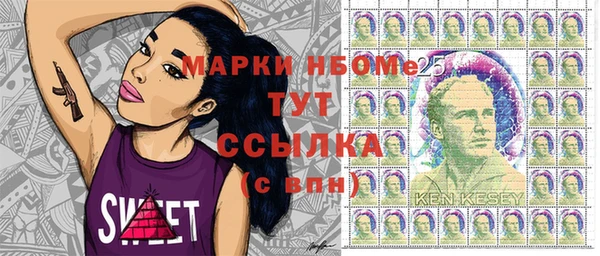 Альфа ПВП Каменка