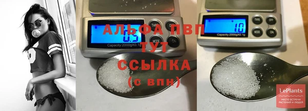 Альфа ПВП Каменка