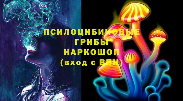 гидропоника Карпинск